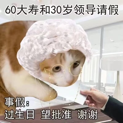 这张梗图通过P图将真实橘猫拟人化，为它戴上白色蓬松假发和带链条的圆框眼镜，模拟成一位60岁的老员工，在办公室场景下向年轻的30岁领导递请假条。配文明确场景：60大寿时向30岁领导请事假，内容为“过生日 望批准 谢谢”，精准戳中职场中年龄倒挂的搞笑反差，用猫咪拘谨的神态烘托出这种尴尬又好笑的请假氛围，是职场人用来调侃职场特殊场景的趣味素材。