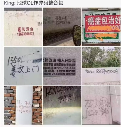 这是一张3x3九宫格布局的照片拼贴，包含9张实拍的墙绘小广告照片。每张照片中的广告内容都极为夸张，例如“延长寿命 13623366678”“长生不老 88725672 13297779789”“癌症包治好”“人体改造 植入升级”“死人复活”等，被网友戏称为“地球OL（将现实生活比作游戏）的作弊码整合包”，通过将现实中荒诞的小广告幽默类比为游戏作弊码，产生搞笑效果。