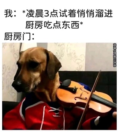 这是一张搞笑图文梗图，上方用文字构建了日常场景：“我：*凌晨3点试着悄悄溜进厨房吃点东西*”，随后以“厨房门：”引出下方的图片内容——一只穿着红色带白边衣服的狗，正做出拉小提琴的动作。该梗的笑点在于，想悄悄行动的人本希望全程安静，结果厨房门发出的动静却像狗拉小提琴一样吵闹，完全破坏了“悄悄”的计划，用拟人化的方式将厨房门的噪音具象化，生动表现出那种想偷偷做事却被突发噪音打断的尴尬又好笑的日常瞬间。