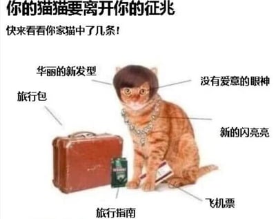 这是一张幽默风格的宠物梗图，画面主体是一只橘猫，被添加了人类的旅行元素：戴着棕色假发（标注“华丽的新发型”）、脖子上戴着闪亮项链（标注“新的闪亮亮”），眼神被标注为“没有爱意的眼神”。猫的旁边放着棕色旅行包（标注“旅行包”）、绿色旅行指南、飞机票和一罐饮料。图片顶部文字为“你的猫猫要离开你的征兆 快来看你家猫中了几条！”，通过拟人化手法调侃猫咪可能“离家出走”的趣味场景。