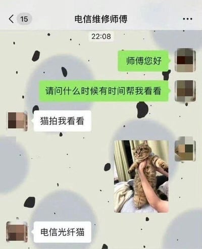 这是一张微信聊天界面截图，对话双方为用户和备注为“电信维修师傅”的联系人。用户首先询问维修师傅何时有空上门检修网络，师傅回复要求拍“猫”查看，用户误解为要拍摄自己饲养的宠物猫，便发送了一张有人举着的橘色宠物猫的照片，随后师傅补充说明自己要的是“电信光纤猫”，利用了“猫”既可以指代宠物猫也可以指代调制解调器（光纤猫）的词义歧义，闹出了搞笑的误会。