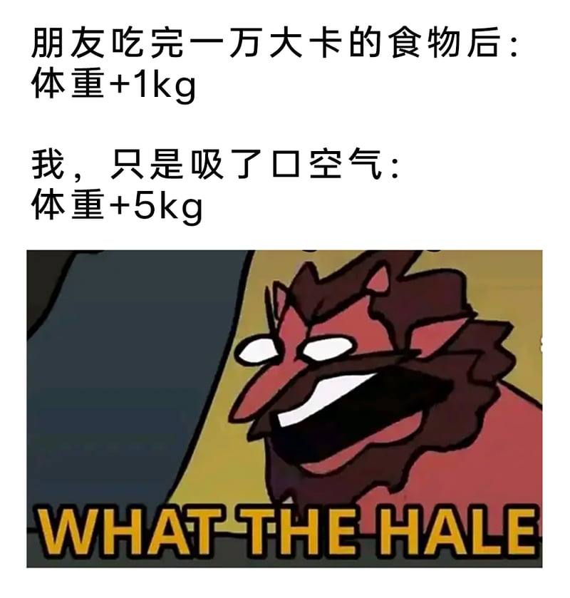 星蝶公主