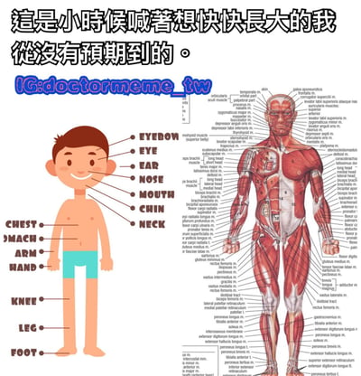 图片左侧是一个卡通风格的小男孩插图，全身标注了简单的身体部位名称（如EYEBROW、EYE、EAR、NOSE、MOUTH、CHIN、NECK、CHEST、STOMACH、ARM、HAND、KNEE、LEG、FOOT），男孩面带微笑，穿着蓝色短裤。右侧是一张详细的人体肌肉解剖图，标注了大量复杂的肌肉名称（如temporalis、orbicularis oculi、biceps brachii等）。图片顶部有文字：“這是小時候喊著想快快長大的我 從沒有預期到的。”，中间偏上位置有蓝色文字“IG:doctormeme_tw”。通过左右对比，幽默地展现了小时候对身体的简单认知与长大后面对复杂成人世界（隐喻为复杂的身体结构）的反差，表达了成长过程中未曾预料到的复杂性。