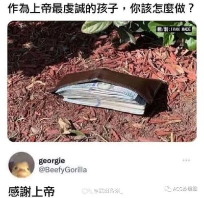 这是一张结合视觉错位与宗教梗的趣味梗图。图中展示了一个放置在红色木屑地面上的棕色钱包，利用视觉错觉让钱包的开口与地面形成“装满一叠钞票”的假象。图上方配文提问“作为上帝最虔诚的孩子，你该怎么做？”，下方是推特用户georgie（头像是小黄鸭）的评论“感谢上帝”，用戏谑的方式调侃虔诚信徒面对意外“财富”时的反应，核心笑点来自视觉错觉的误导和神回复的反差感。