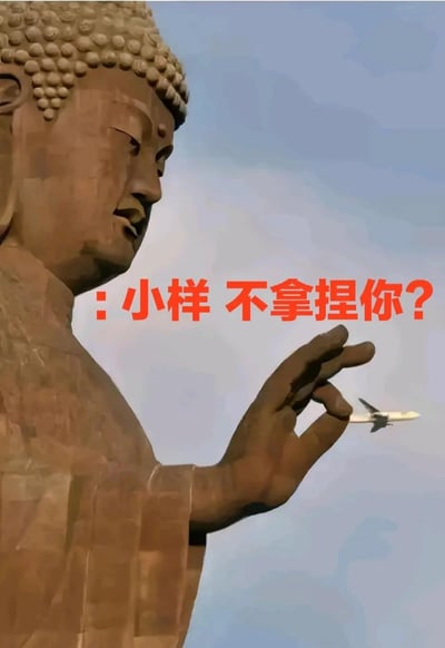 这是一张借助视觉错位效果打造的趣味图片，画面中一尊体量庞大的佛像侧面入镜，佛像面容平和安详，手部抬起做出类似捏取的动作。恰好有一架民航客机从佛像手部的前方空域飞过，由于拍摄角度的巧合，在视觉上形成了佛像仿佛即将捏住飞机的错觉。图片上叠加了醒目的红色网络流行语文字“:小样 不拿捏你？”，用诙谐的语气放大了这个视觉巧合的趣味性，将网络热梗和实景拍摄的趣味瞬间结合，成为带有调侃意味的表情包，常用来表达对人或事物充满掌控感的调侃情绪。
