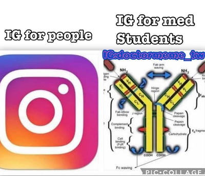 图片分为左右两部分进行对比：左侧是Instagram的经典渐变色logo，上方标注'IG for people'，代表普通人使用的Instagram；右侧是一张详细的抗体结构医学示意图，包含Fab臂、Fc片段、铰链区等专业标注，上方标注'IG for med students'，幽默展现医学生的Instagram内容可能充满专业医学图表。图片顶部有对应文字标签，右上角有水印'IG:doctormeme_tw'，底部右侧有'PIC·COLLAGE'的制作工具标识。