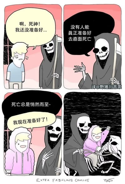 这是一则四格漫，改编自欧美著名网络漫画《Extra Fabulous Comics》，主角是一个面对死神的人类角色，起初他显得非常害怕并声明自己“还没准备好”，死神安慰说没有人会真的准备好面对死亡，还试图感性地陈述“死亡总是悄然而至——”，但人类角色突然情绪转变，兴致勃勃地表示“我现在准备好了！”，最后一格兴奋地骑在骷髅马身上。漫画中利用情绪反转和非典型面对死亡的态度制造强烈的幽默效果，带有“豁达”、“自嘲”、“反鸡汤”等双关和反常理元素。