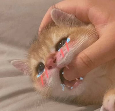 图片中是一只浅棕色的小奶猫，正被一只人类的手轻轻捧着。小猫的脸部经过数字编辑，添加了蓝色的泪滴特效从眼睛滑落，脸颊上还有红色的竖条腮红，嘴巴周围也有蓝色的水滴状效果，整体营造出一种夸张的委屈又带点滑稽的表情。背景是单一的浅灰色布料，突出显示小猫和手部的互动，画面聚焦于萌宠的可爱与后期编辑的趣味效果。
