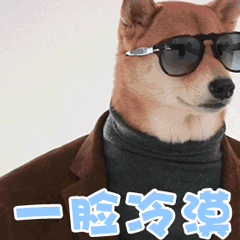 戴墨镜柴犬一脸冷漠动态表情包