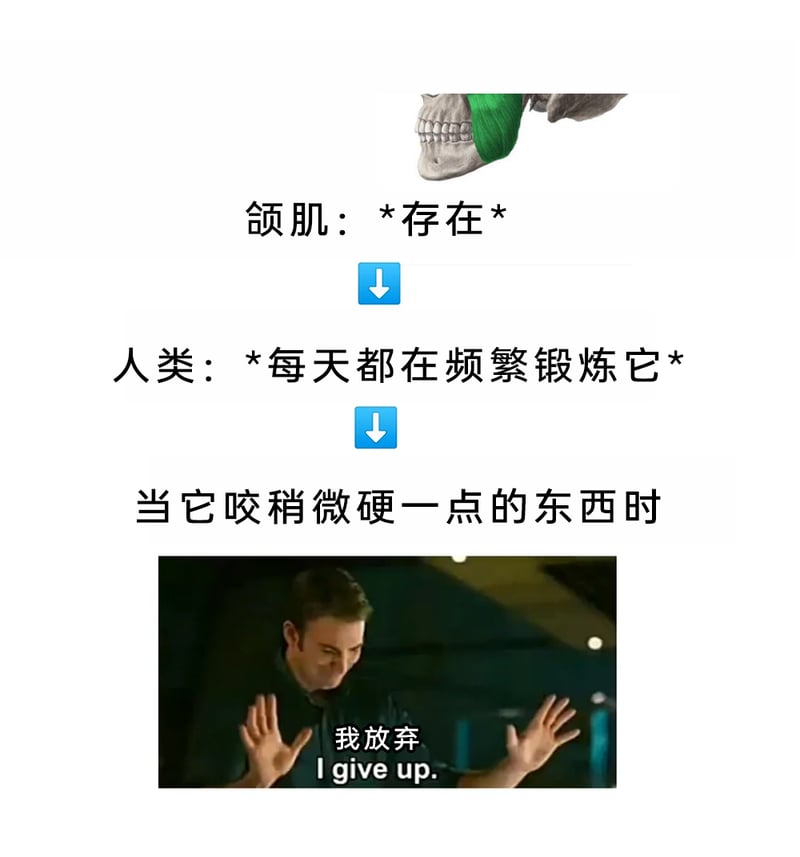 影视片段