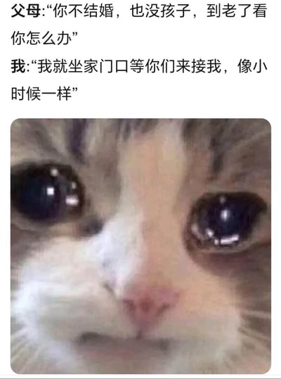这是一张竖屏格式的图文混排内容，上方呈现了一段父母与子女的对话：父母以“不结婚没孩子老了无人照顾”为由对子女进行催婚，子女没有反驳，而是用“坐家门口等你们来接我，像小时候一样”的温情话语回应，下方搭配了一张双眼含泪、表情委屈又带着依赖感的猫咪图片。整段内容既传递出年轻人面对父母催婚时的无奈情绪，又通过呼应童年依赖父母的场景，表达出对父母不变的依恋，用柔软的方式化解催婚带来的压力，很容易引发被催婚群体的情感共鸣。