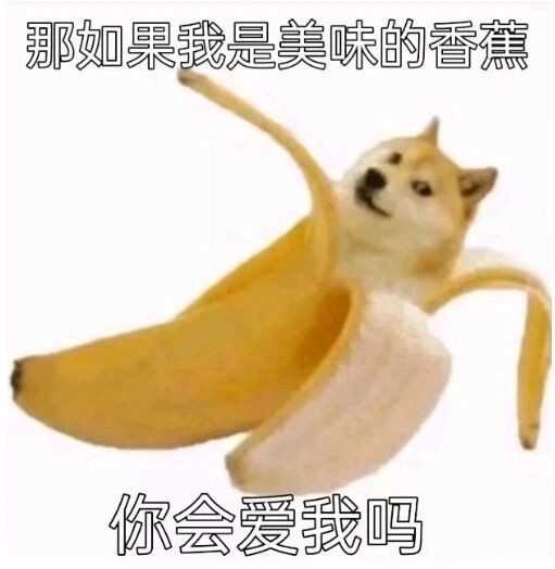 Doge经典表情包