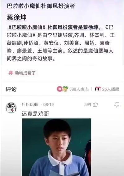 这是一张社交媒体截图，内容声称蔡徐坤是《巴啦啦小魔仙》中杜御风的扮演者，并配有一段关于该剧的简介。截图下方有一条高赞评论'还真是鸡哥'，并附带了一张穿着蓝色衣服的男孩照片。该内容包含错误信息，属于网络谣言，因为蔡徐坤并未参演《巴啦啦小魔仙》。