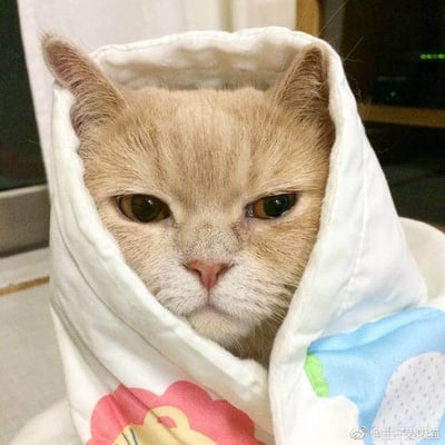 一只橘色的猫咪被裹在带有卡通图案的毯子里，只露出一张脸。猫咪表情看起来有些不爽和严肃，眼神直视前方。毯子是白色的，上面有粉色和蓝色的卡通图案。