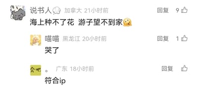 这是一张国内带IP属地显示功能的社交媒体平台评论区截图，展示了三条用户互动评论：第一条来自IP属地为加拿大的用户“说书人”，发布内容为“海上种不了花 游子望不到家😜”，用富有诗意的语句抒发了海外游子的思乡之情，该评论获得9个点赞；第二条来自IP属地为黑龙江的用户“喵喵”，内容为“哭了”，表达了对第一条评论的共情，获得1个点赞；第三条来自IP属地为广东的用户，内容为“符合ip”，意指第一条评论的思乡内容和发布者的加拿大IP属地高度契合，戳中了海外游子的心境。