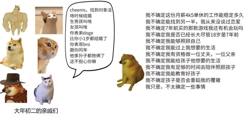 惊讶猫