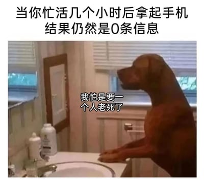 图片上方配有文字'当你忙活几个小时后拿起手机结果仍然是0条信息'，下方是一只棕色的狗站立在浴室台面上，前爪搭在台边，望向窗外，配文'我怕是要一个人老死了'。整体通过狗的忧郁神情和文字内容，幽默地表达了忙碌后发现无人联系的孤独感。