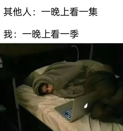 这是一张吐槽追剧行为的搞笑梗图，采用顶文配图的形式，上方白色区域的文字做了两类人群追剧习惯的对比：第一行写“其他人：一晚上看一集”，第二行写“我：一晚上看一季”；下方配图是昏暗的环境里，一名穿着连帽卫衣、兜帽戴在头上的人精神萎靡地侧躺在铺着浅色床单的床上，脸朝向身前打开的苹果笔记本电脑，整个人状态虚脱，直观展现出熬夜一口气刷完整季剧之后的疲惫状态，十分贴切地还原了追剧上头的用户的真实经历，有较强的共鸣感。