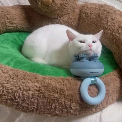 这是一张真实拍摄的静态图片，画面主体是一只纯白色的猫咪，正趴在一个模仿牛油果外形制作的毛绒猫窝中——猫窝外圈是深棕色毛绒材质，内垫为绿色短绒。猫咪将下巴搭在一个蓝灰色的头部按摩仪的按摩触头部分，按摩仪带有浅蓝色的环形握柄，正面下方印有反向的英文标识。猫咪眼神半睁，面部表情慵懒又放松，看起来正惬意地借助按摩仪的触头来蹭脸放松，整体画面充满了治愈的宠物生活氛围。