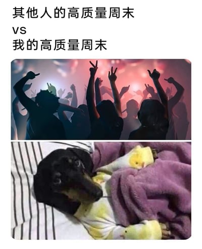 这是一张上下对比形式的梗图，上方呈现的是其他人的“高质量周末”场景：在灯光绚烂、氛围热烈的夜店里，一群人的剪影高举双手，尽情狂欢，充满了热闹欢快的气息；下方则是“我”的“高质量周末”，用一只裹着紫色毯子、躺在床上慵懒躺着的腊肠犬来代表，展现出宅家躺平、悠闲放松的状态。图中通过两种截然不同的周末生活场景的强烈反差，调侃了不同人群周末生活的巨大差异，精准戳中了不少偏爱宅家、享受安静独处时光的人的日常，引发共鸣。