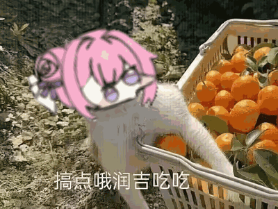 动图中，粉色四足动物形象的Doro靠近一个装满橙色橘子的篮子，眼神呆萌，身体微微前倾，似乎正渴望地想要吃橘子，画面下方重复出现文字'搞点哦润吉吃吃'，整体呈现出可爱又略带俏皮的氛围。'哦润吉'是Doro文化中的标志性元素，是对橘子的趣味称呼，体现了该亚文化轻松有趣的一面。