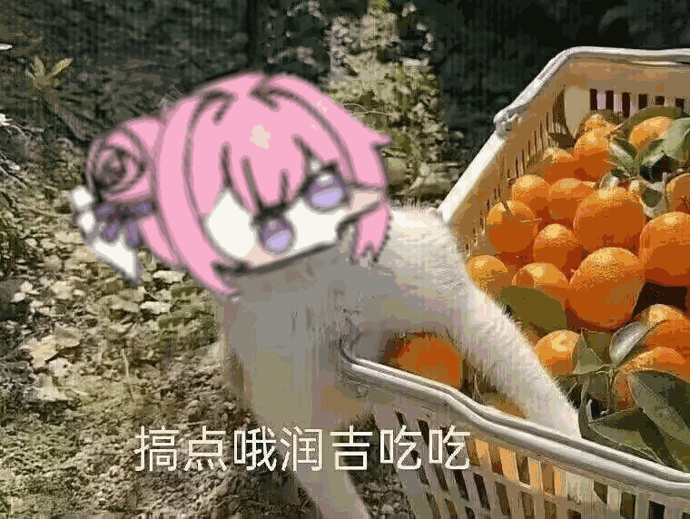 Doro想吃哦润吉