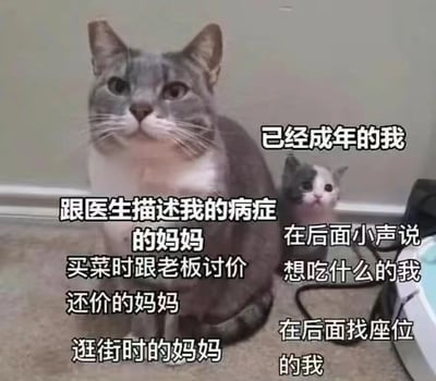 图片中一只体型较大的灰白色猫咪坐在前面，表情淡定，旁边站着一只体型较小的灰白色小猫，表情乖巧。图片通过文字幽默地表现了成年子女与妈妈之间的有趣反差：前面的大猫代表"跟医生描述我的病症的妈妈"、"买菜时跟老板讨价还价的妈妈"和"逛街时的妈妈"，展现了妈妈干练、强势的一面；而后面的小猫则代表"已经成年的我"、"在后面小声说想吃什么的我"和"在后面找座位的我"，表现了成年子女在妈妈面前依然像孩子一样依赖、乖巧的状态。这种反差对比生动形象，让人会心一笑。