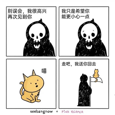 这是一幅由seebangnow和PINK REAPER联合创作的四格治愈系卡通漫画。第一格中，身着黑袍的拟人化死神面带温和笑意，开口说道“别误会，我很高兴再次见到你”；第二格中，死神神情关切，叮嘱道“我只是希望你能更小心一点”；第三格是一只眼睛带有叉号、看起来虚弱懵懂的小黄猫，发出“喵”的叫声；第四格中，死神扛着招魂旗，小黄猫趴在旗子顶端，死神温柔地说“走吧，我送你回去”。漫画打破了死神冰冷恐怖的固有印象，通过反差感的设定，塑造出温柔暖心的死神形象，传递出治愈、温暖的情绪，讲述了死神将猫咪送回人间的暖心故事。