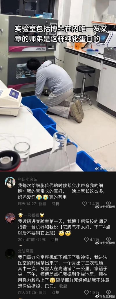 这是一组图文混排的社交媒体内容，上半部分为实验室实拍场景：一位穿着灰色连帽衫的男生跪在实验室地面，将头凑近培养箱，仿佛在“跪拜”设备，配文标注“实验室包括博士在内唯一发文章的师弟是这样纯化蛋白的”；下半部分是三条网友评论，分别分享了自己的玄学操作：<br>1. 科研小废柴：给细胞传代时会小声夸细胞，称真的有用<br>2. 一只丢丢：读研第一天师兄说机器“脾气不好”，下午4点后不能用<br>3. 北陆风雪：法医室压神像求顺利，还和同事“护着”神像<br>整体内容用真实又搞笑的场景，展现了科研、特殊行业从业者在工作中遇到压力时的无奈自嘲式玄学行为，引发同行业网友共鸣，无谐音梗或双关含义。