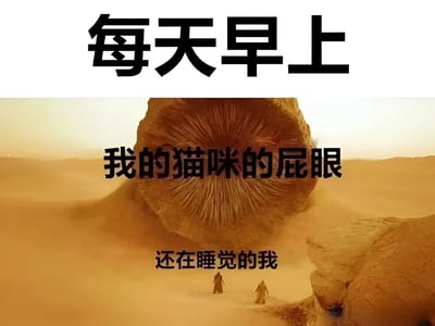 图片上半部分为白色背景配黑色大字“每天早上”，下半部分是沙漠场景，中央有一个巨大的、类似肉质纹理的圆形结构，上面叠加文字“我的猫咪的屁眼”，底部有两个渺小的人影，下方配文“还在睡觉的我”。整体通过将猫咪屁眼夸张成巨大、具有压迫感的形象，幽默对比了每天早上被猫咪打扰睡眠的场景，营造出搞笑又无奈的氛围。