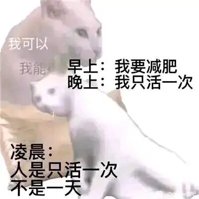 这张图是基于网络流行的渐变模糊猫咪梗图进行二次创作的表情包，采用图文混排、文字加注的形式，通过三个不同时间段的文字，生动展现了当代减肥人群一天内的心态变迁：早上斗志昂扬立下减肥Flag，到了晚上就自我安慰选择放纵，凌晨更是彻底摆烂，用“人是只活一次，不是一天”来合理化自己的行为。图中左上角保留了原梗图的“我可以 我能”字样，与后续的文字形成反差，精准戳中了很多人减肥时反复横跳的真实状态，幽默又写实，容易引发共鸣。