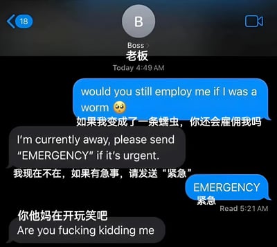 这是一张聊天记录截图，展示了员工向老板发送的一个荒谬问题：'如果我变成了一条蠕虫，你还会雇佣我吗'。老板设置了自动回复，要求紧急事项发送'EMERGENCY'，员工立即回复'EMERGENCY'，导致老板愤怒回应'你他妈在开玩笑吧'。这张图通过荒谬的假设和对自动回复的幽默滥用创造笑点。