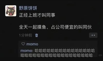 这是一张社交媒体截图，用户“野原饼饼”（头像为一只绿色眼睛的卡通猫）发布了一条动态，内容为“正经上班才叫同事 全天一起摸鱼、占公司便宜的叫同伙”，幽默地调侃了职场中“同事”与“同伙”的区别。下方有用户“momo”的评论，内容为一长串“哈哈哈哈”的笑声，表达了对该动态的认同和觉得有趣。