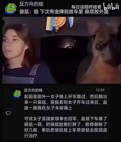 图片为一段视频的截图，上方配有网友“反方向的蛙”的幽默评论“袋鼠：姐 下次有金牌别放车里 麻烦放外面”，中间是视频画面，显示一名女子坐在车内，旁边有一只袋鼠的模糊身影，车内后视镜上挂着疑似奖牌的物品。下方文字详细描述了事件经过：国外一名女子夜间开车时遭遇袋鼠踢打车窗，该女子身为国家级拳击冠军，下车反击后将受伤袋鼠送往医院。整体内容展现了一起充满戏剧性的真实事件，搭配诙谐点评，营造出幽默搞笑的氛围。
