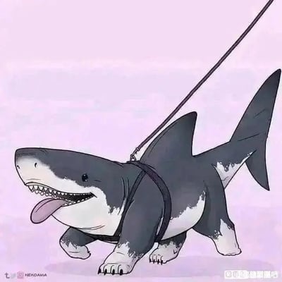 暂无描述
