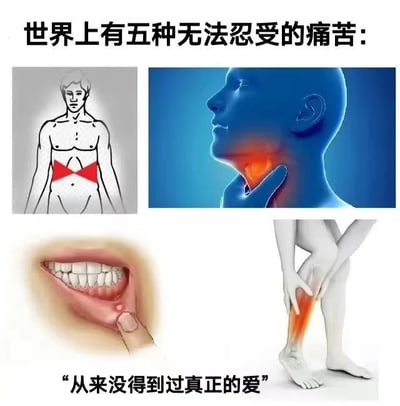 图片上方文字为“世界上有五种无法忍受的痛苦：”，下方分四格展示不同疼痛场景：左上是人体腹部红色X形标记的疼痛示意图，右上是蓝色人体头部喉咙红色高亮的疼痛图示，左下是手指指向口腔溃疡的特写，右下是人物扶着脚踝红色高亮的疼痛画面。最底部文字为“从来没得到过真正的爱”，通过将前四种生理疼痛与最后一种情感痛苦并列，形成幽默又扎心的反差效果。