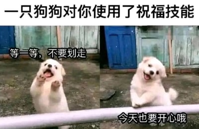 这是一张由左右两张图片拼接而成的文字加注类表情包，整体风格温馨治愈。图片顶部配有文字“一只狗狗对你使用了祝福技能”，左侧画面中，一只白色小狗抬起两只前爪，嘴巴大张，配文“等一等，不要划走”，神态兴奋活泼；右侧画面里，同一只白色小狗将两只前爪搭在前方的横杆上，歪头咧嘴，配文“今天也要开心哦”，神态俏皮可爱。图片通过拟人化的手法，将小狗的动作赋予传递祝福的含义，用可爱的狗狗形象和温暖的文字，向观看者传递日常的暖心鼓励，适合在社交场景中用来给朋友送上轻松的祝福，缓解情绪、传递好心情。