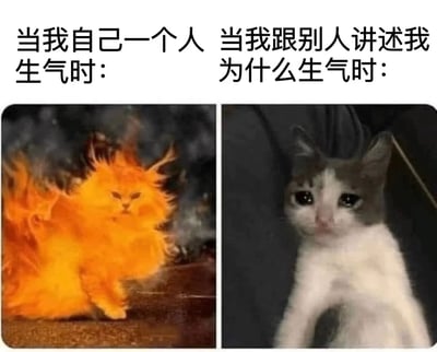 这是一张左右对比的图文混排梗图，通过两只猫咪的表情和场景反差，幽默展现情绪表达的差异。左侧画面上方文字为“当我自己一个人生气时：”，下方是一只被熊熊橙色火焰包围的猫咪，毛发竖起，眼神凶狠，整体呈现出愤怒到极致的状态；右侧画面上方文字为“当我跟别人讲述我为什么生气时：”，下方是一只灰白相间的小猫，睁着圆溜溜的大眼睛，表情无辜又茫然，仿佛完全无法清晰表达自己的愤怒。图片通过强烈的视觉对比和生活化场景，精准戳中人们独自生气时的激烈内心与向他人解释时的无力感之间的反差萌。