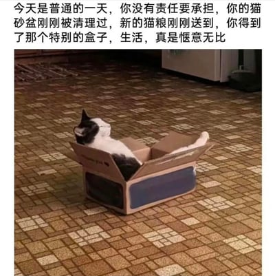 图中是一只黑白相间的奶牛猫，正四肢放松地半躺在一个打开的纸盒里，仰头露出惬意的神态，仿佛在享受无拘无束的时光。上方配文描述了一个完美的惬意日常：没有责任要承担，猫砂盆刚被清理，新猫粮已送到，还拥有了心仪的纸盒，用猫咪的舒适状态具象化了人们向往的无压力、躺平式的舒适生活，整体氛围治愈放松，没有双关或谐音梗。