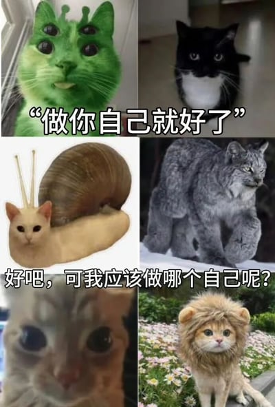 一张3x2网格布局的搞笑梗图，包含六个不同形态的猫科生物。左上角是绿色身体、四只眼睛的诡异猫咪，配文"做你自己就好了"；右上角是一只从角落探出头的黑白猫；左下角是猫脸蜗牛身的混合生物；右下角是一只肌肉发达的山猫；中间左列是一只眼睛异常巨大的猫；中间右列是长着狮子鬃毛的猫。底部统一配文"好吧，可我应该做哪个自己呢?"，通过展示各种奇特的猫咪形态，幽默地表达了在多元身份面前的选择困惑。