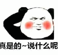熊猫头