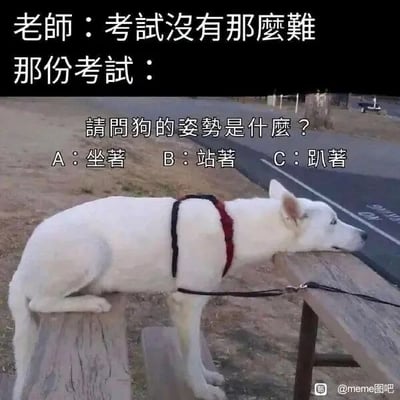 这是一张图文混排的搞笑梗图，整体分为上下两部分文字与下方的真实照片。上方第一部分文字是老师所说的“考试没有那么难”，第二部分是对应的考试题目：“请问狗的姿势是什么？A：坐著 B：站著 C：趴著”。下方的照片中，一只白色狗狗前半身趴在木质桌子上，后半身蹲在旁边的木质长椅上，这个姿势既不符合选项里的“坐着”“站着”，也不符合“趴着”，形成了强烈的反差感。这张图通过这种矛盾的场景，吐槽老师口中“不难的考试”实际却设置了脱离实际、选项完全不匹配的离谱题目，用幽默的方式讽刺那些不合理的考试题目设置，引发经历过类似离谱考试场景的人的共鸣，制造出搞笑的效果。对于图中的问题，三个选项均不符合狗狗的实际姿势，无法从给定选项中选出正确答案。