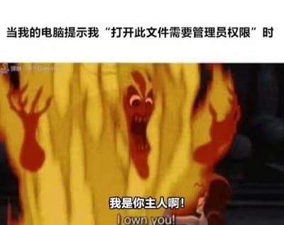 图片上方文字描述场景：'当我的电脑提示我“打开此文件需要管理员权限”时'。下方是动画电影《变身国王》的截图，画面中主角库斯德（Kuzco）面对火焰背景，表情愤怒地大喊：'我是你主人啊！'（英文字幕：I own you!）。通过电影中角色对火焰宣示主权的场景，幽默比喻用户在电脑索要管理员权限时的无奈与抓狂，仿佛自己的设备反过来“不听指挥”。