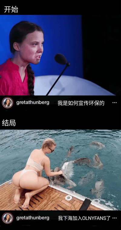 该梗图通过上下对比的形式，上方展示格蕾塔·通贝里在蓝色背景前对着麦克风演讲的画面，配文“开始”及“我是如何宣传环保的”；下方则是一位穿着比基尼的女性在水中喂鱼的场景，配文“结局”及“我下海加入OLNYFANS了”。图片利用“下海”一词的双关含义制造讽刺效果，表面指进入海中，实际暗示加入成人内容平台OnlyFans，形成对环保宣传方式的调侃。