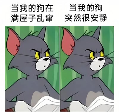 这是一张左右对比的梗图，使用了《猫和老鼠》中汤姆猫的形象来幽默表现狗主人的两种心态。左边画面配文“当我的狗在满屋子乱窜”，汤姆猫表情愤怒；右边画面配文“当我的狗突然很安静”，汤姆猫表情依然愤怒但多了一丝警惕。通过汤姆猫相同的愤怒表情来暗示无论狗是吵闹还是安静，主人都保持着警惕和无奈的心情，尤其是当狗突然安静时可能意味着它正在做坏事。