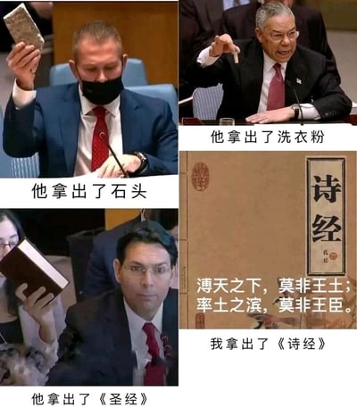 这是一张由四部分组成的多图拼接梗图，左上呈现了一位戴口罩的男子在国际会议场合举起一块石头，配文“他拿出了石头”；右上是2003年美国前国务卿鲍威尔在联合国安理会会议上，手持装有白色粉末的试管，配文“他拿出了洗衣粉”，该场景是鲍威尔当时以此声称伊拉克拥有大规模杀伤性武器，后被证实是洗衣粉，成为知名事件；左下是一位男子在国际会议上举起一本《圣经》，配文“他拿出了《圣经》”；右下是中国古代经典诗歌总集《诗经》的封面，配文“我拿出了《诗经》”，同时引用了《诗经》中的名句“溥天之下，莫非王土；率土之滨，莫非王臣”。整张图通过将不同的展示物品进行拼接，形成了文化与事件的反差趣味，用中国经典文化典籍与前几个场景的物品形成对照，制造出独特的幽默效果。