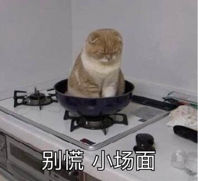 一只橘白相间的猫咪正淡定地坐在一口黑色的锅中，而锅被放置在厨房的燃气灶炉头上。猫咪双眼微闭，姿态放松，仿佛对自己身处的环境毫不在意。图片下方配有文字“别慌 小场面”，通过猫咪在危险情境（锅在炉灶上）中的冷静表现与文字形成幽默反差，营造出轻松搞笑的氛围。