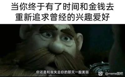 这是一张经过二次创作的梗图，上方配有文字“当你终于有了时间和金钱去重新追求曾经的兴趣爱好”，下方是动画《驯龙高手》中角色史图依克的截图，角色双眼睁大，神情带着怀念与深情，嘴巴微张，底部配文“你还是和我失去你的那天一般美丽”。图中将曾经的兴趣爱好拟人化，用深情告白的语境，表达了当人们在忙碌生活后，终于有条件重拾曾经因现实原因放弃的爱好时，那种失而复得的感动，仿佛爱好依旧如当初一样美好，精准戳中了很多人被生活搁置爱好后再重逢的心境。