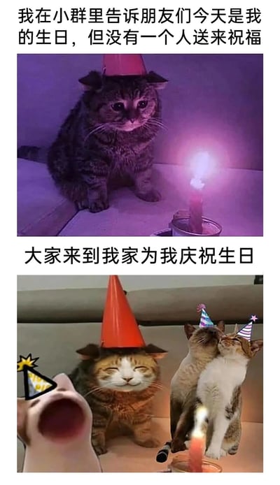 这是一组上下拼接的图文梗图，上半部分呈现了一只戴着迷你生日帽的灰斑猫咪，它独自坐在紫色灯光的环境里，看着面前的一根点燃的蜡烛，配文“我在小群里告诉朋友们今天是我的生日，但没有一个人送来祝福”，传递出失落、孤单的情绪；下半部分则是多只戴着不同生日帽的猫咪，有的闭着眼睛露出满足的微笑，有的亲昵地蹭脸互动，还有的大张嘴巴欢呼，配文“大家来到我家为我庆祝生日”，形成强烈的反转，生动还原了原本以为生日被朋友遗忘，实则是朋友们准备了惊喜派对的温馨场景，用可爱的猫咪形象放大了情绪的反差，治愈又有趣，容易引发有类似经历的人的共鸣。