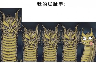 整张图为图文结合的搞笑漫画，顶部配文“我的脚趾甲：”，下方依次排列五个黄色龙头，前四个龙头外形威严凶狠、神态严肃，对应大脚趾到第四根脚趾的脚趾甲，最右侧的第五个龙头造型软萌、睁着大圆眼吐舌头，神态傻气，对应小脚趾的脚趾甲，用龙头的数量对应五根脚趾的脚趾甲，通过前后龙头的形态反差，调侃现实里小脚趾的脚趾甲通常形态怪异不规整，和其他四根脚趾的脚趾甲状态差异极大的常见现象，笑点十足。